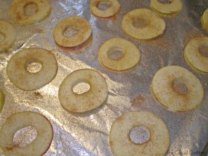 Cinnamon and sugar apple slices