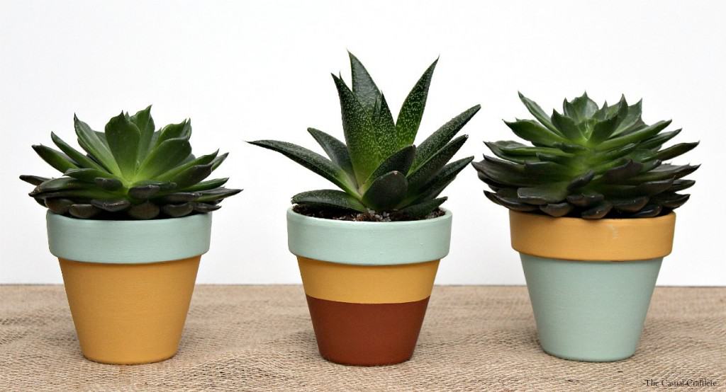 Mint & Mustard Painted Succulent Pots