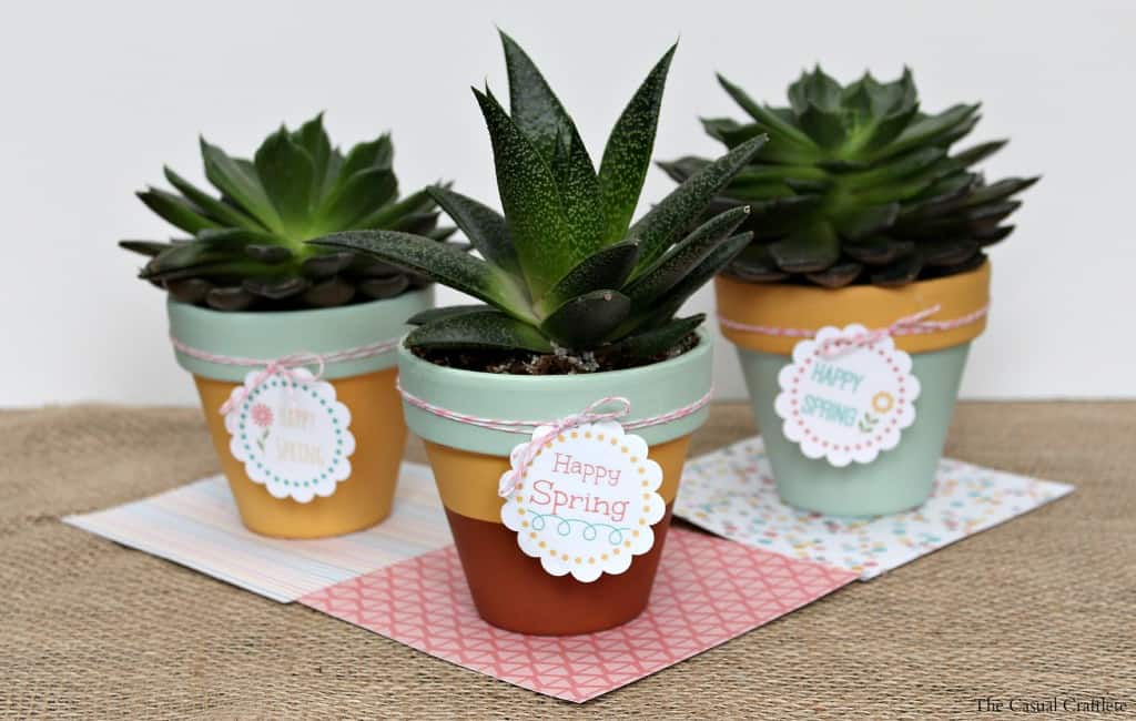 Mint & Mustard Painted Succulent Pots {plus} FREE Printable Happy Spring Tags
