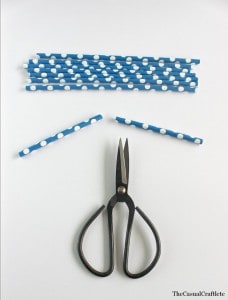 Paper Straw Banner