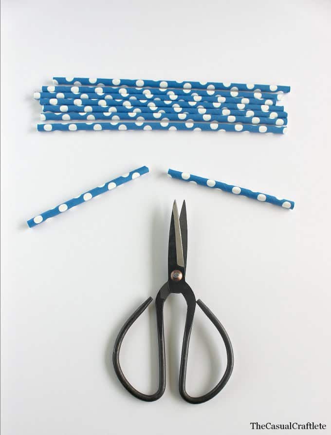 Paper Straw Banner