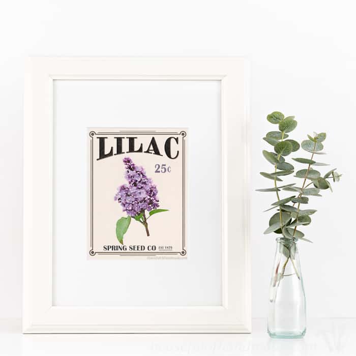 Free-Printable-Vintage-Seed-Packet-Art-1