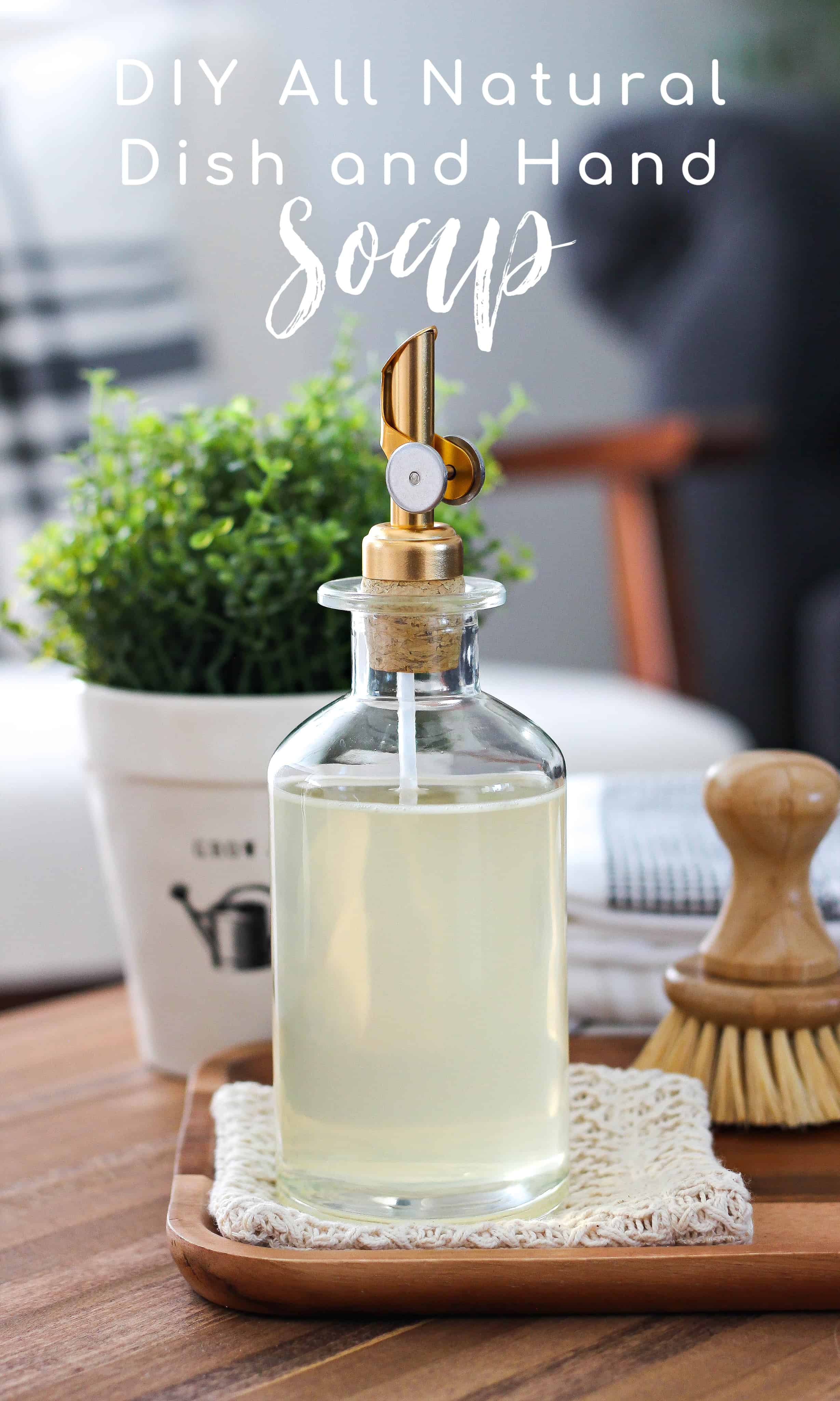 DIY All Natural Dish and Hand Soap Purely Katie