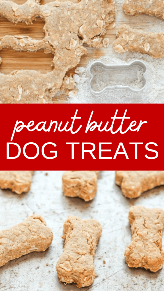 Peanut Butter Snap Dog Treats - homemade dog treats made with simple all natural ingredients that your furry friend will be sure to love! #dogtreats #homemadedogtreats #peanutbutter #dog #treats