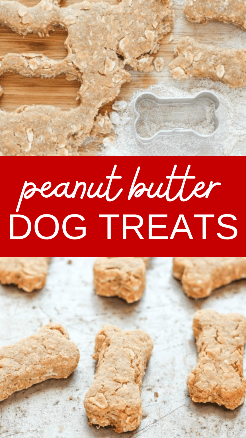 Peanut Butter Snap Dog Treats